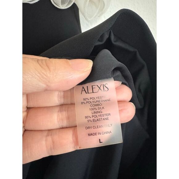 Alexis Aisha Dress L - Picture 8 of 11